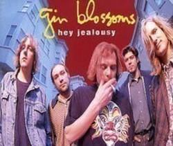 Ecouter la chanson Gin Blossoms Hey jealousy de playlist Musique pour courir gratuitement.