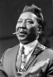 Ecouter la chanson Muddy Waters Mannish boy de playlist Jazz and Blues musique à succès gratuitement.