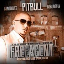 Ecouter gratuitement les Pitbull chansons sur le portable ou la tablette.